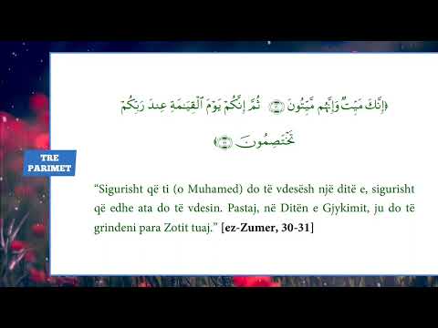 Tre parimet themelore - ibn Baz (pjesa 4 Parimi i trete: Njohja e te Derguarit  alejhi selam