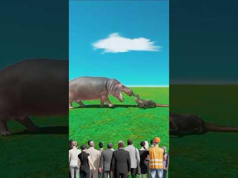 Komodo Vs Hippo #komodo #hippo #vs #animals #viralvideo