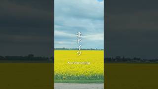 北ドイツの世界遺産 ワッテン干潟🇩🇪 / St  Peter Ording ドイツ  #ドイツ   #世界遺産