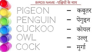 Birds Name In Hindi And English | पक्षियों के नाम | Birds Name | Birds Ke Naam | Panchhiyon Ke Naam