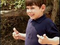 Elmo S World Hands DVD Rip
