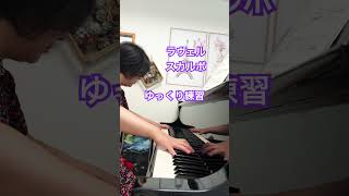 Download lagu ラヴェル/スカルボ　ゆっくり練習vol06#ピアノ #piano #弾いてみた mp3