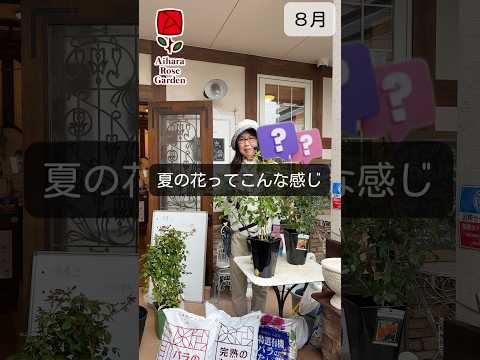 今年の最初の花がすでに美しさを見せています。彼らは何ですか？  庭園