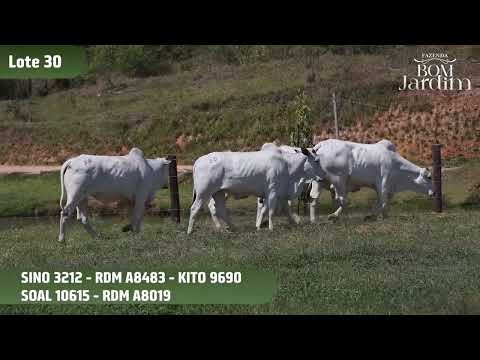 LOTE 30   SINO 3212   RDM A8483   KITO 9690   SOAL 10615   RDM A8019