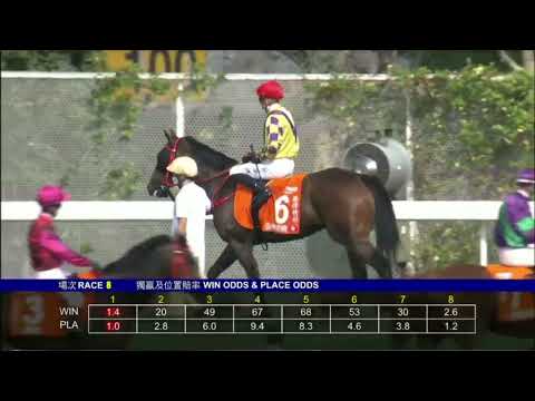 2022 04 24 沙田 第八場 一級賽 金槍六十 何澤堯