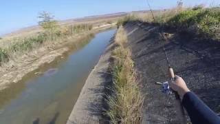 Рыбалка на даде ставропольский край