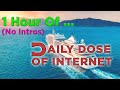 Daily Dose Of Internet 1 Hour No Intro 1 HOUR DAILY DOSE OF INTERNET NO INTROS