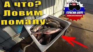 I вся рыба на рыболовной базе