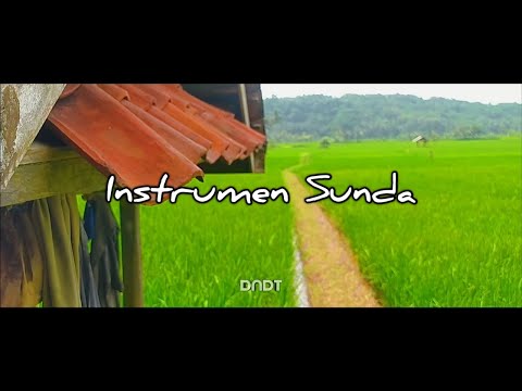 Cinematic Aesthetic Sawah | Rice Field | Instrument Music Sunda