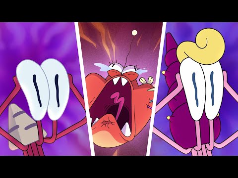 DOCTOR BERNIE | NEW The Adventures of Bernie | Zig & Sharko - Cartoons for Kids