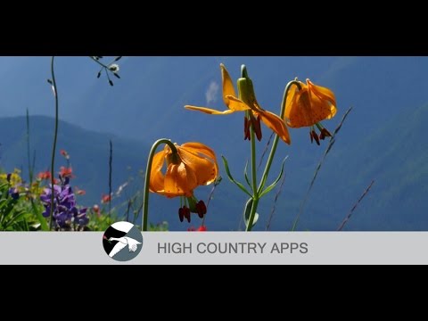 Washington Wildflowers Video
