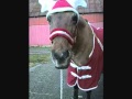 The Merry Christmas Pony - Singing Jingle Bell ...