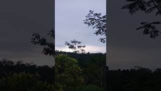Download lagu Suasana Pagi di Desa~Story Wa #short mp3
