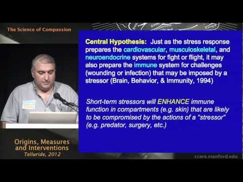 The Science of Compassion: Origins, Measures, and Interventions - Firdaus Dhabhar, Ph.D.