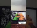 Closing To Teletubbies Nursery Rhymes 1998 Australian VHS