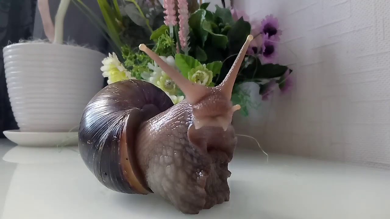 Вафельница Kitfort KT-1611-3 640Вт белый