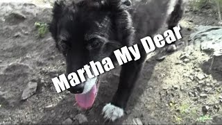 Martha My Dear (The Beatles Cover)