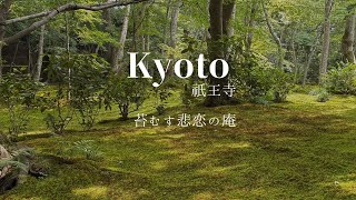 祇王寺 奥嵯峨 京都 緑の苔に眠る Kyoto Gioji Temple | After Love Ends, I sleep in the Green Moss