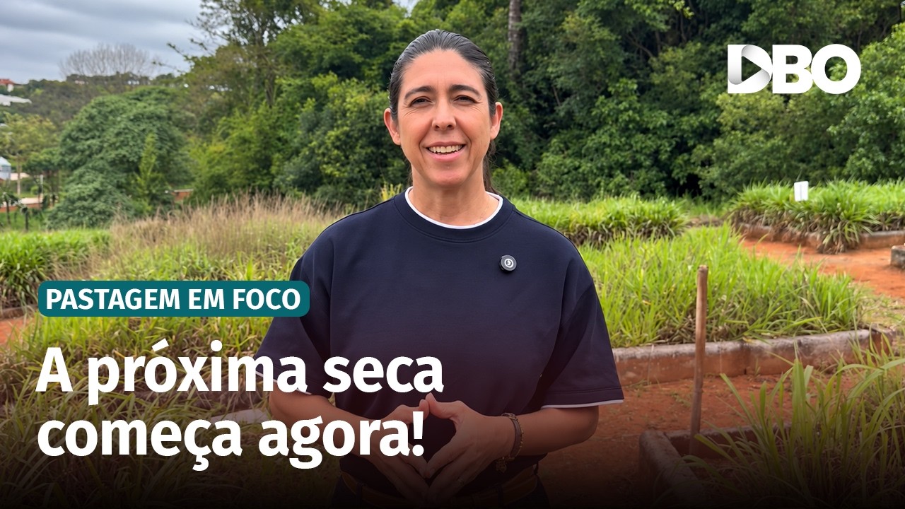 Manejo de pastagens nas águas define o sucesso na seca