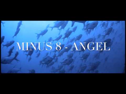 Minus 8 - Angel
