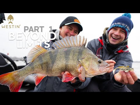 Cracking the Code - In Search for Monster Perch | Westin Fishing