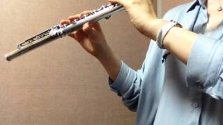 The Next Step - Kurt Rosenwinkel Flute Version