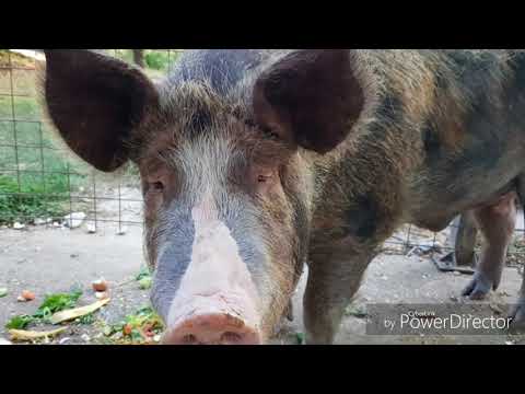 cà del vento berceto estate 2017