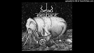 Dead Elephant - Heavy, Huge and Rotten