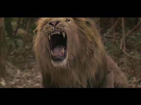Coming 2 America (2021) - Prince Retrieves Whiskers From a lion Scene