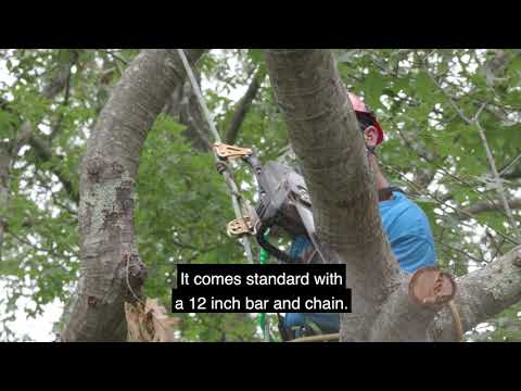 2021 GREENWORKS 12" Top Handle Chainsaw in Lancaster, South Carolina - Video 1