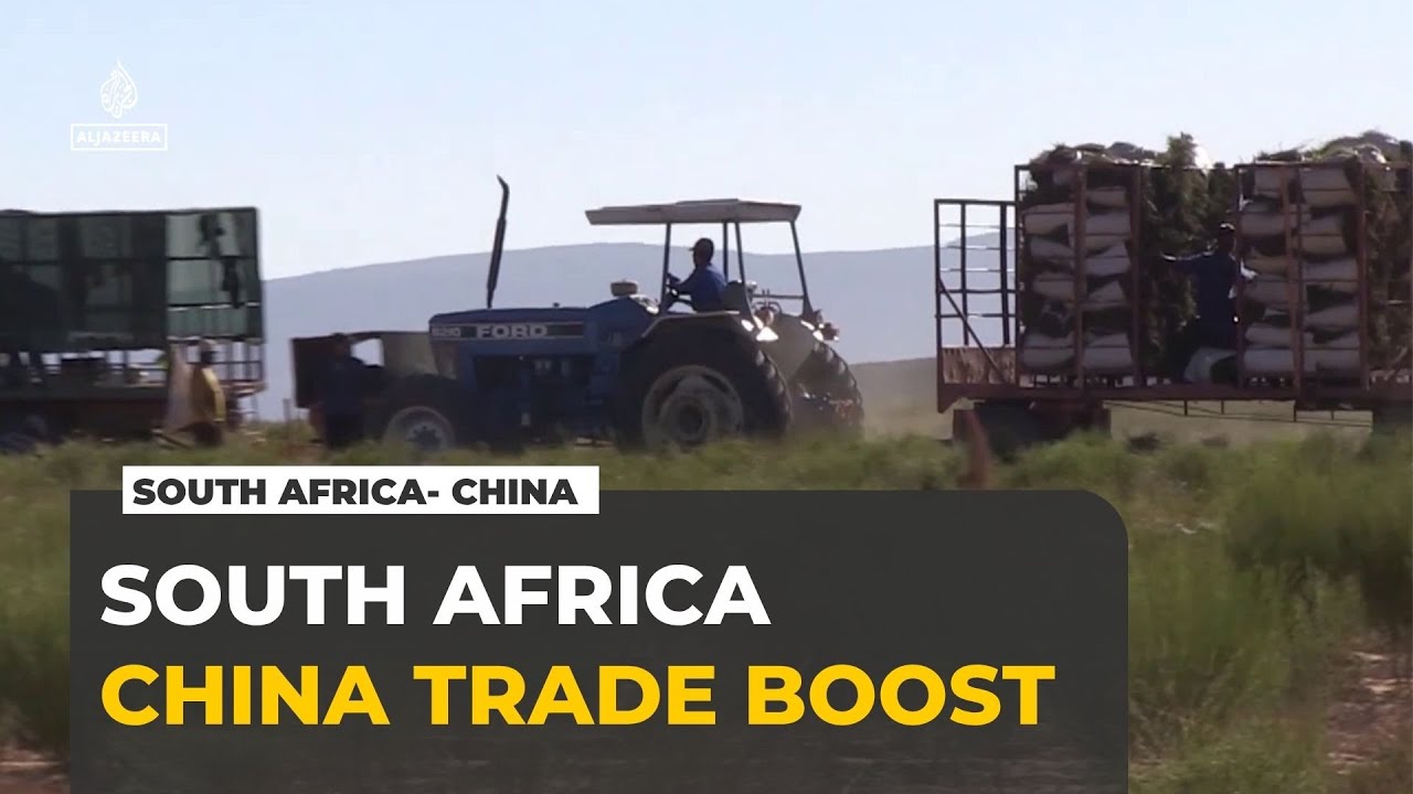 South Africa-China trade: New zero-tariff agreement to boost sales to china