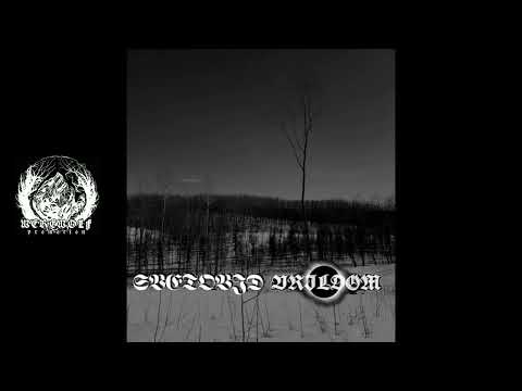 Svetovid / Vrildom (Full Split) [2020]