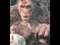 Rampage Movie Edit Dwayne Johnson Song Just The Two Of Us Movieedits Edit Shorts