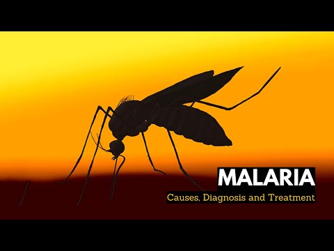 What is Malaria, Causes, Signs and Symptoms, Diagnosis and Treatment.