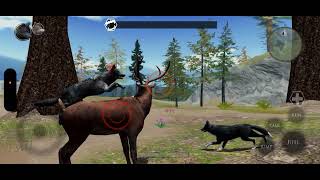 One hungry pup|Ultimate Wolf Simulator 2|Blackbird's Tale|ep 10