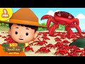 RAJA KEPITING 8 MIN Leo Si Penjaga Alam Kartun Anak