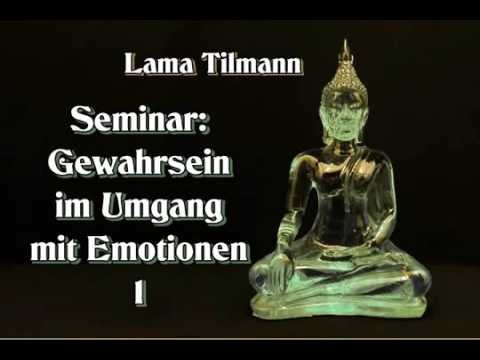 Gewahrsein im Umgang mit Emotionen 1 Lama Tilmann