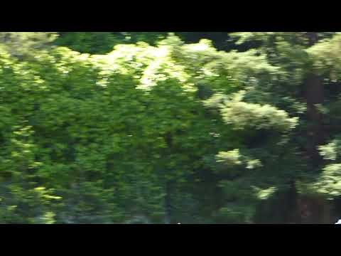 download lagu mp3 mp4 Aa Allstar, download lagu Aa Allstar gratis, unduh video klip Aa Allstar