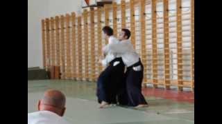 preview picture of video 'Matti Joensuu Sensei Aikido Summer Camp at Lake Balaton'