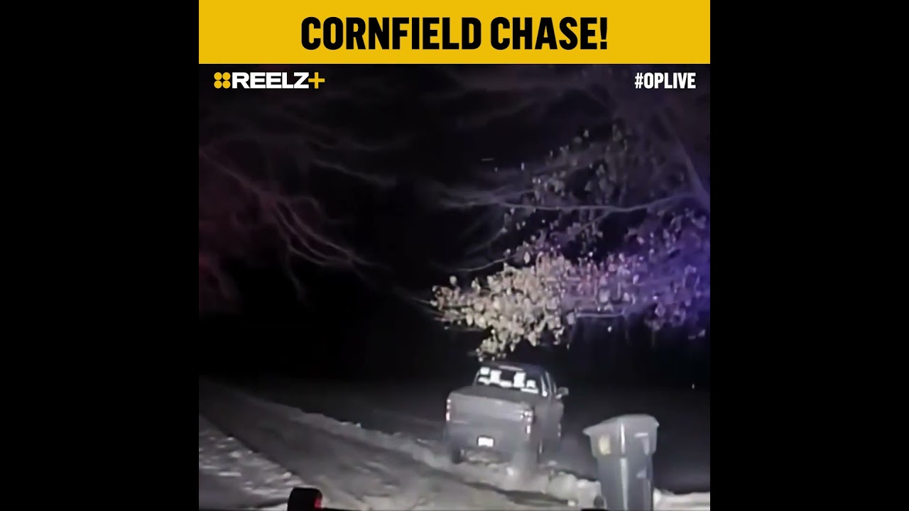 115 MPH Indiana Chase Ends in Cornfield After Driver Takes Off