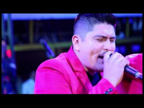 LOS  TIGRES  DEL  SABOR  ░  Ya  No  La Busques