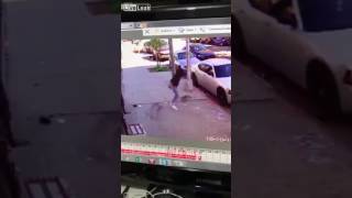 Хозяйка пытается защитить собаку от нападения кошки Приколы 2017