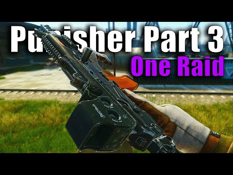 How I FINISHED Punisher 3 in a SINGLE RAID...
