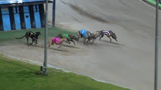 Download lagu Angle-Park-26032020-Race-10 mp3 Download lagu Angle-Park-26032020-Race-10 mp3