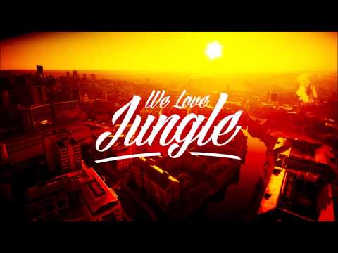 CHEM TRAILS -  ARIES, GOLD DUBS, BEVAN & ANDY SIM FT LION ART