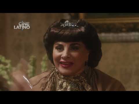 Maratón Día de las madres Mañana - Cinelatino LATAM | Cinelatino