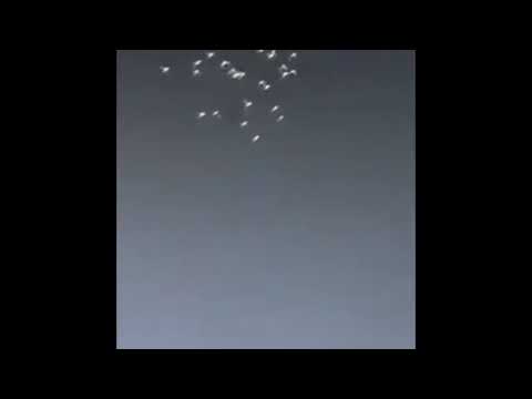 Ptice Tavafe iznad Kabe