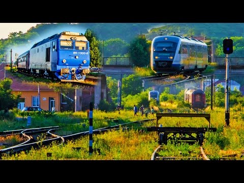 EMD Loco meeting Desiro DMU in Oradea Est (02 07 2015)