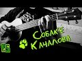 Собаке Качалова - на укулеле (6 Океанов, cover) Есенин "Дай, Джим, на счастье ...