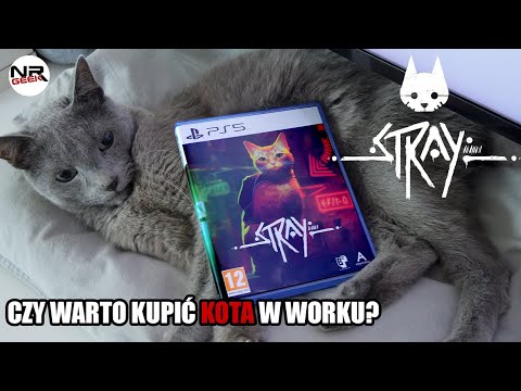 Stray - Recenzja